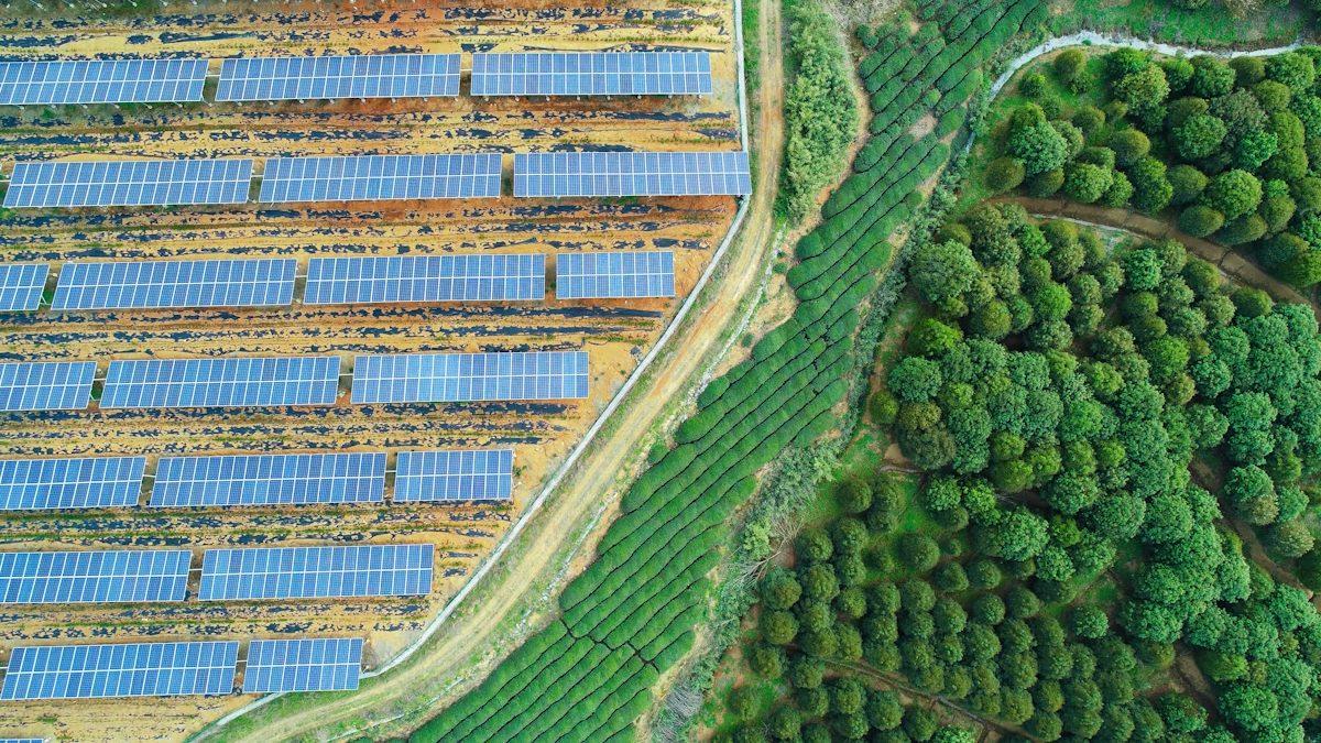 Aerial view of a utility scale solar farm bordered by forest and terraced farmland